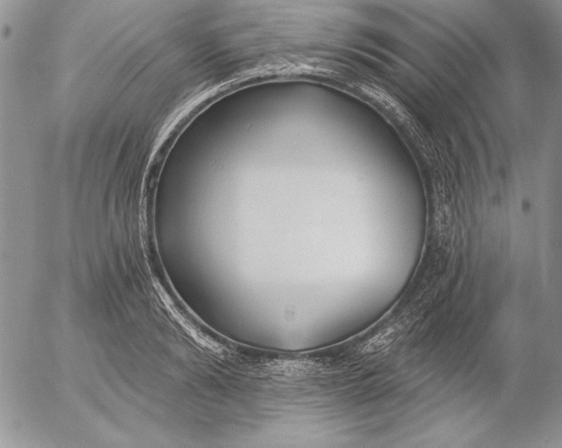 X0000053000894200507291639