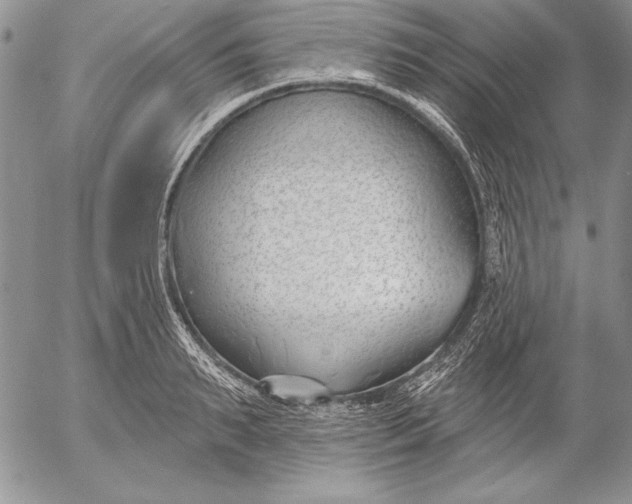 X0000053000895200507291639