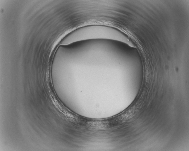 X0000053000896200507291639