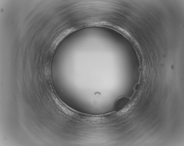 X0000053000897200507291639