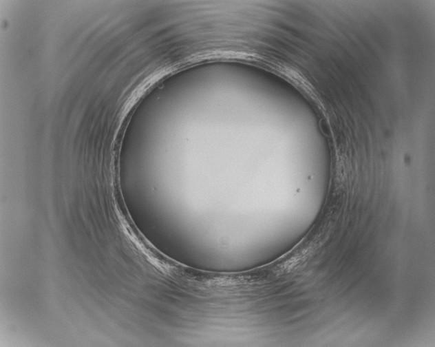 X0000053000898200507291639