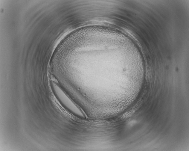 X0000053000899200507291639