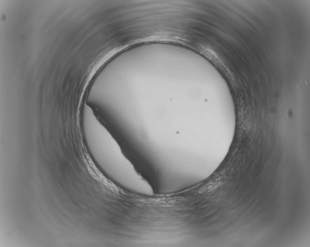 X0000053000900200507291639