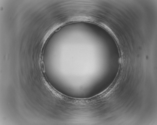 X0000053000901200507291639