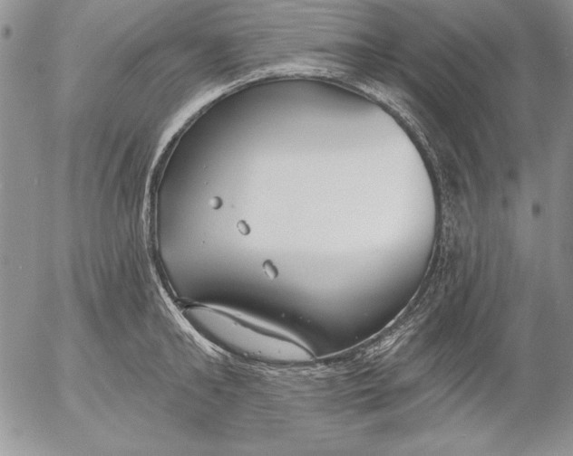 X0000053000902200507291639