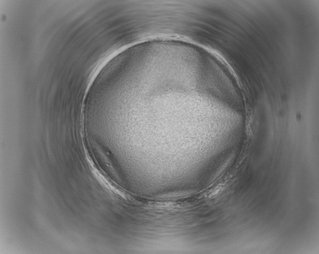 X0000053000903200507291639