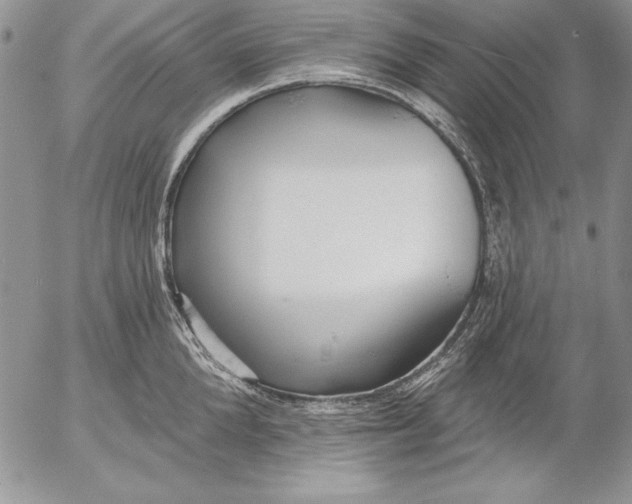 X0000053000904200507291639