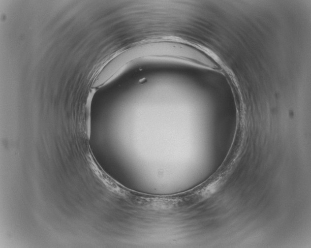 X0000053000905200507291639