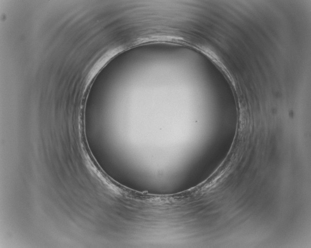 X0000053000906200507291639