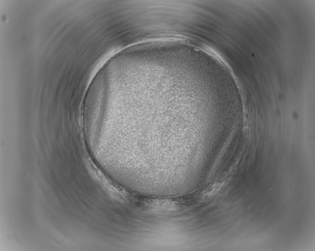 X0000053000907200507291639