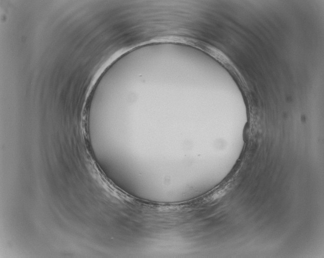 X0000053000908200507291639