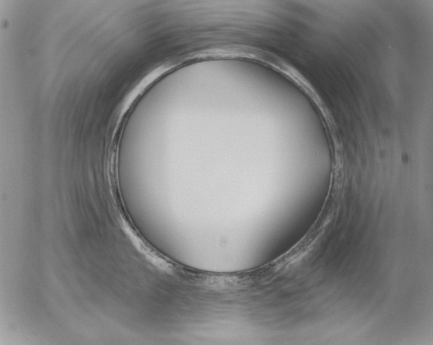 X0000053000909200507291639