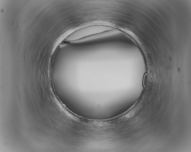 X0000053000910200507291639