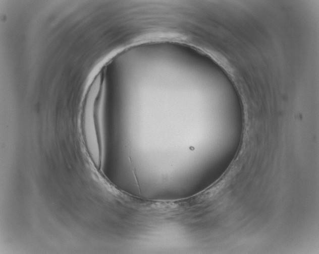 X0000053000912200507291639