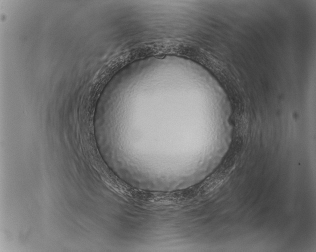 X0000053000913200507291638