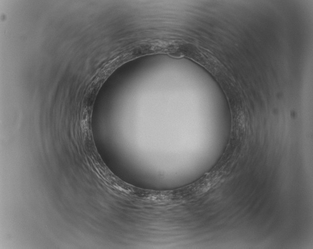 X0000053000914200507291638