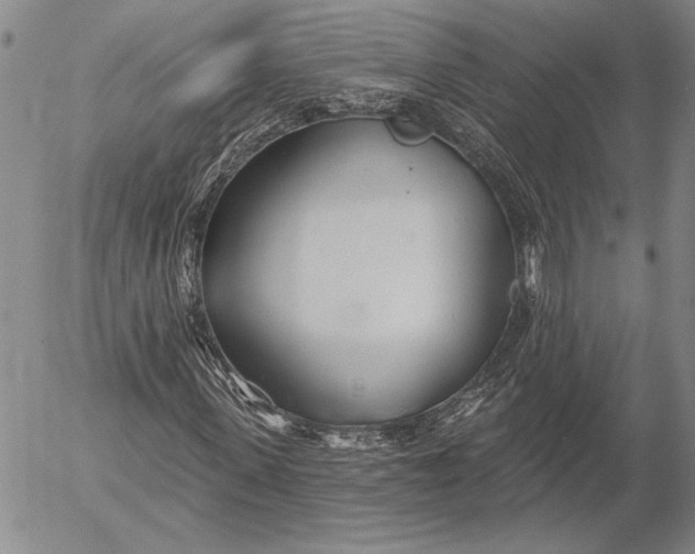 X0000053000915200507291638