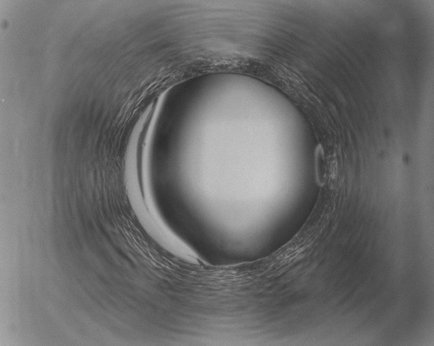 X0000053000916200507291638