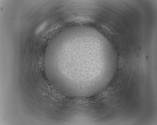 X0000053000917200507291638