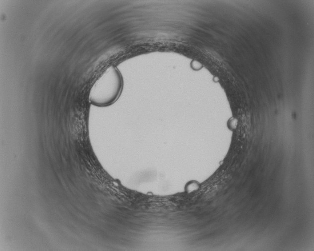 X0000053000918200507291638