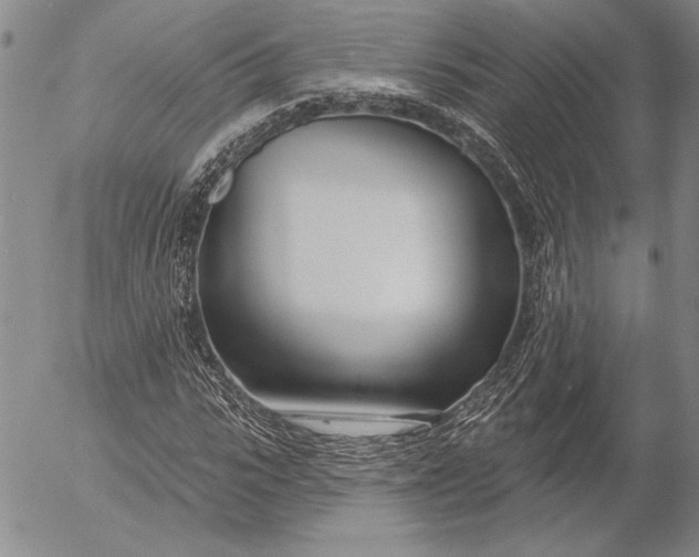 X0000053000919200507291638