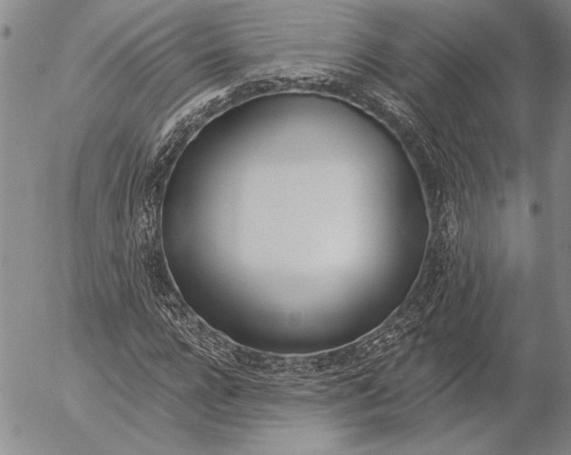 X0000053000920200507291638