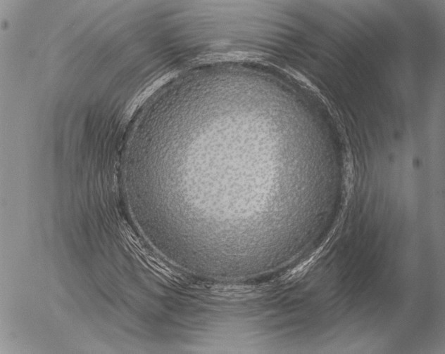 X0000053000921200507291638