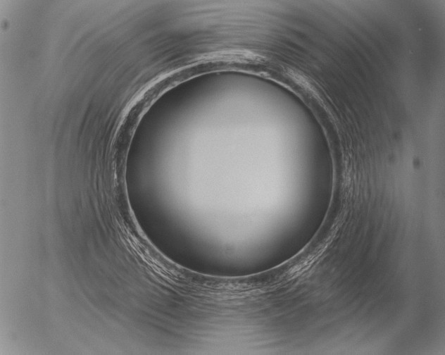 X0000053000923200507291638