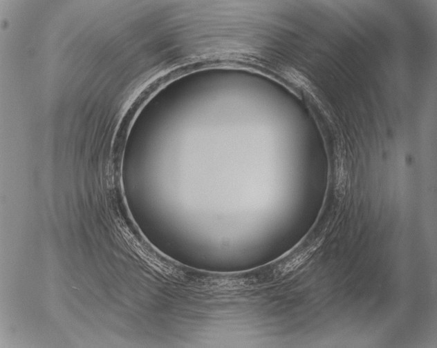 X0000053000924200507291638