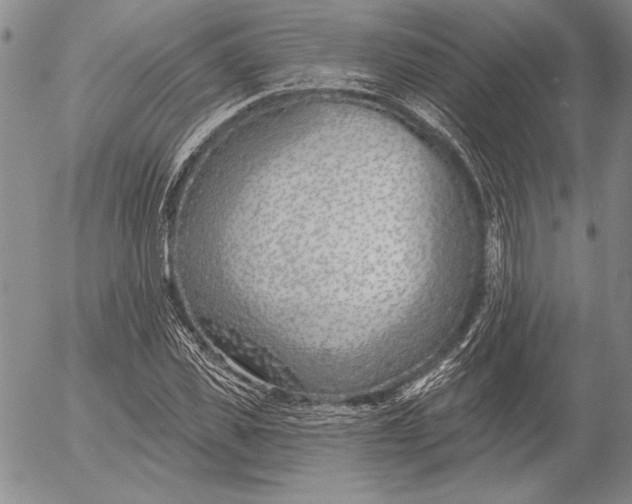 X0000053000925200507291638