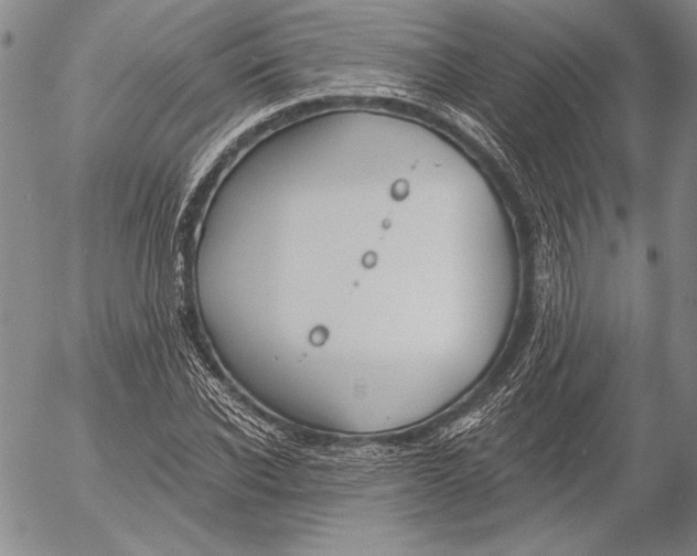 X0000053000926200507291638