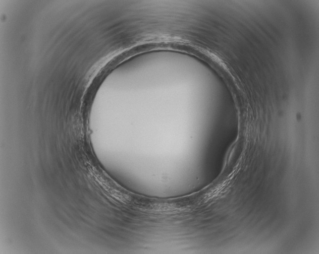 X0000053000927200507291638