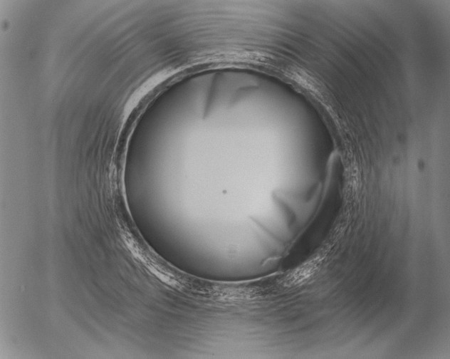 X0000053000928200507291638