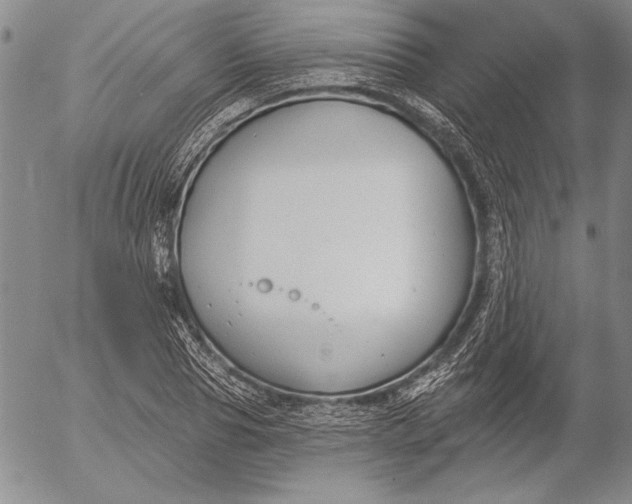 X0000053000929200507291638