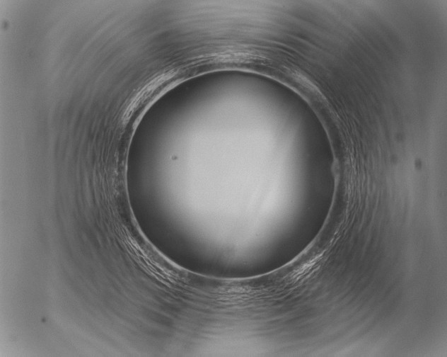 X0000053000930200507291638