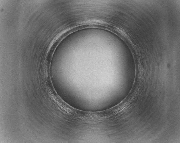 X0000053000931200507291638