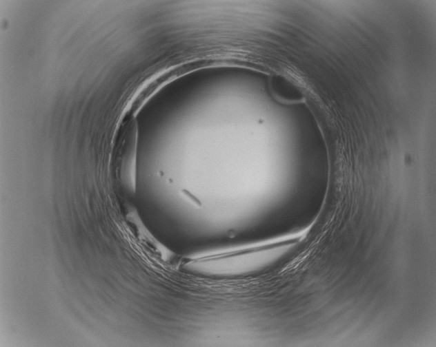 X0000053000932200507291638