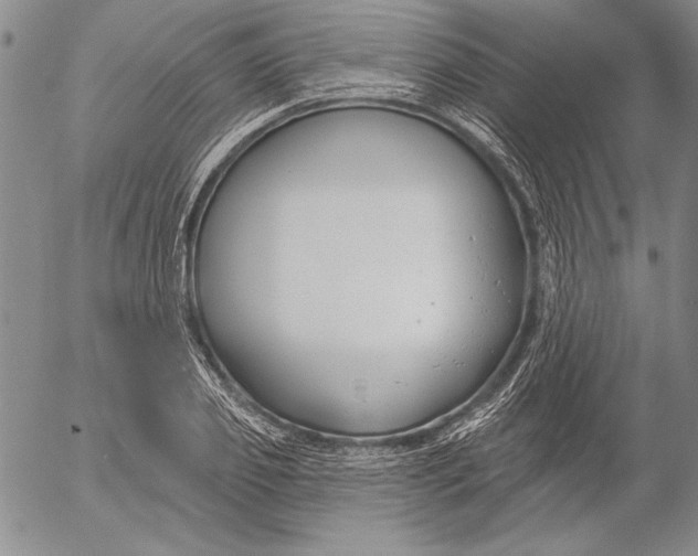 X0000053000933200507291639