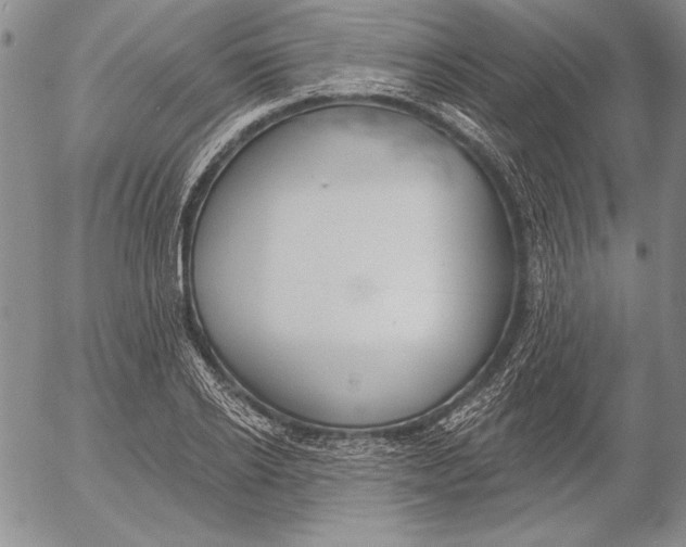 X0000053000934200507291639