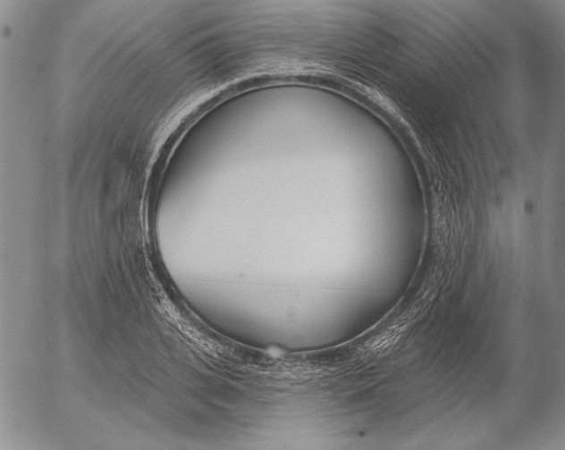 X0000053000935200507291639