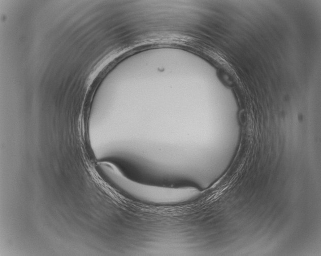 X0000053000936200507291639