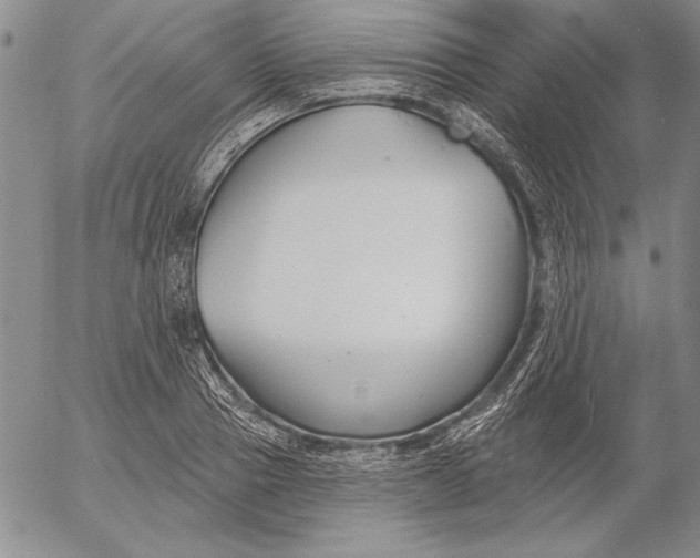 X0000053000937200507291639