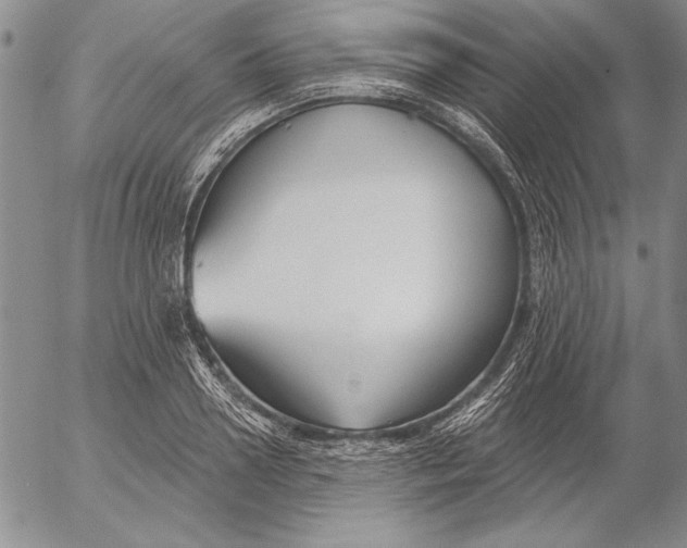 X0000053000938200507291639