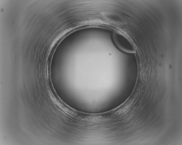 X0000053000939200507291639