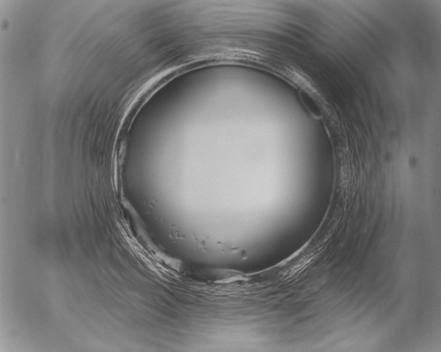 X0000053000940200507291639