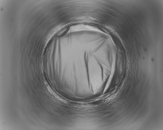 X0000053000941200507291639