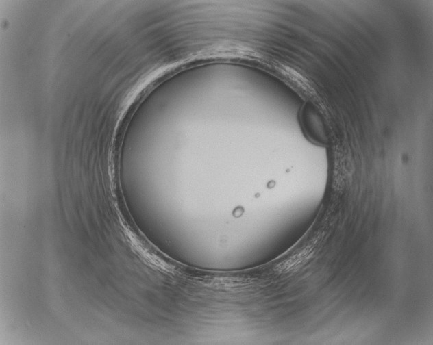 X0000053000942200507291639