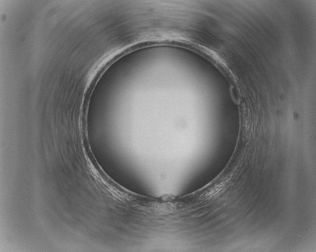 X0000053000943200507291639