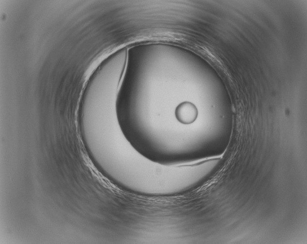 X0000053000944200507291639