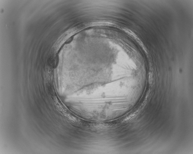 X0000053000945200507291639